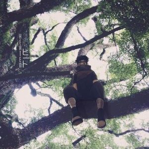 Meet your Posher, Collin